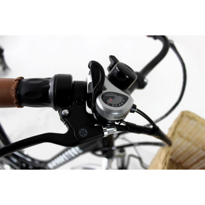 Throttle For Mirrorstone e-Bike